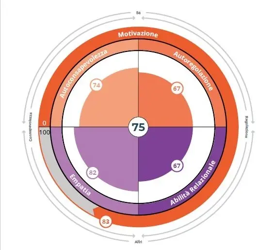 Ruota intelligenza emotiva