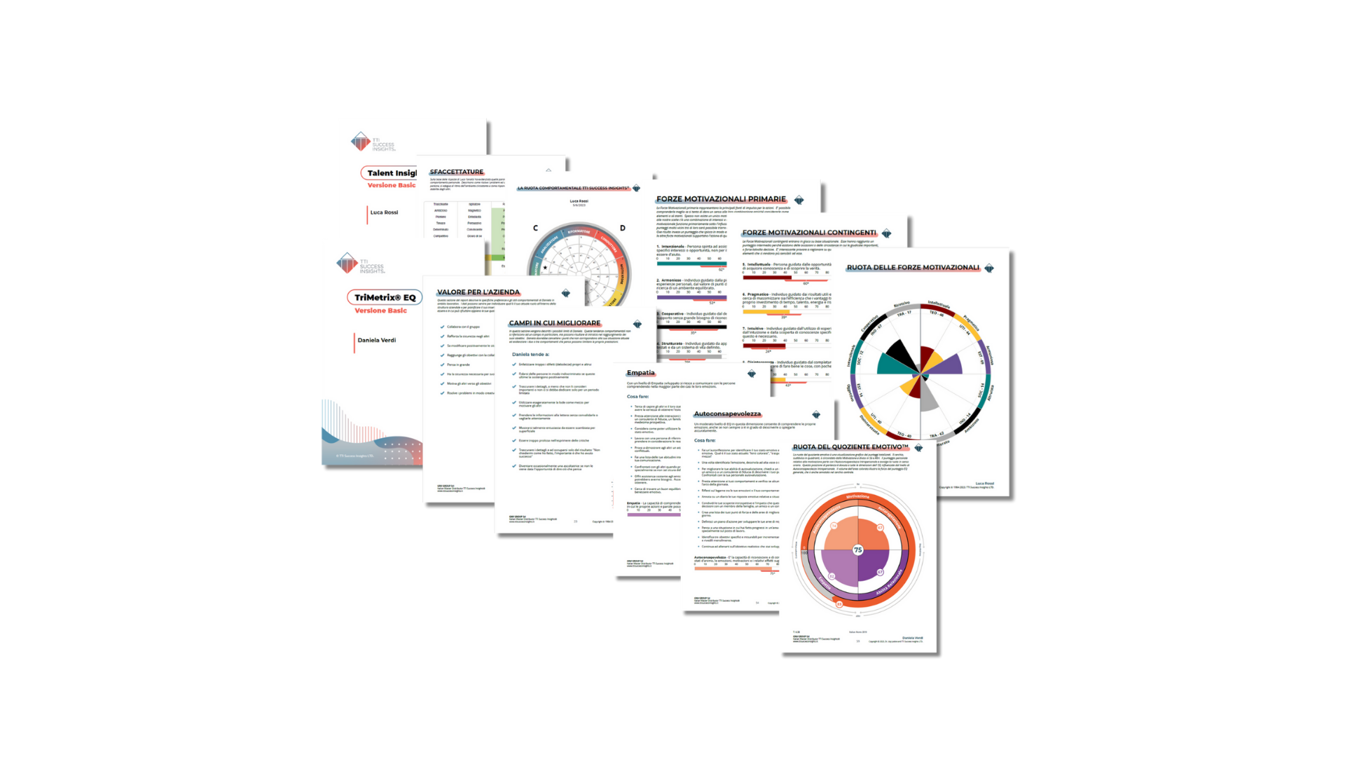 Strumenti di assessment TTI Success Insights