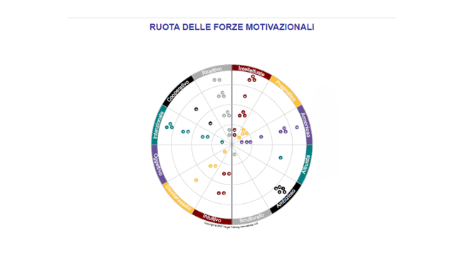 La ruota motivazionale TTI Success Insights